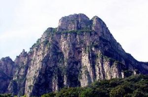 五指山組 五指山組