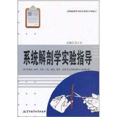 系統解剖學實驗指導 系統解剖學實驗指導