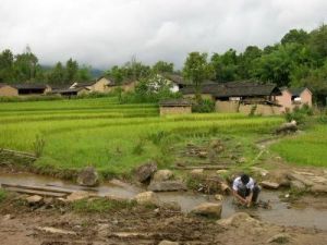 廖家自然村 廖家自然村