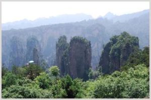 九重岩自然保護區 九重岩自然保護區