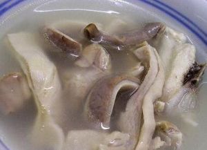 橘皮木香肉片湯