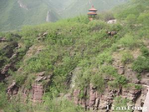 《血戰青龍莊》 《血戰青龍莊》