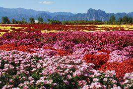 沈家營鎮 沈家營鎮