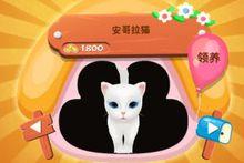 遊戲中的安哥拉貓