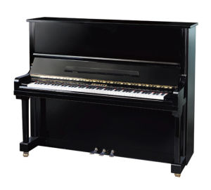 雷諾弦槌 雷諾弦槌