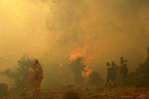 2009年8月21日起的希臘森林大火