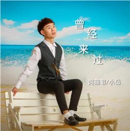 歌曲曾經來過