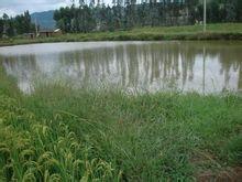 果子園村[雲南嵩明縣牛欄江鎮下轄村]