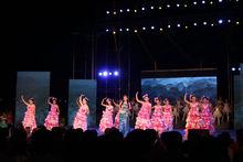 2014年唱響白河&middot;淅川專場