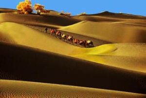 塔克拉瑪乾沙漠