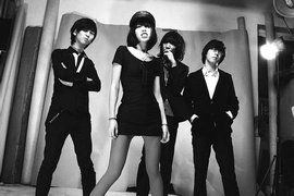 後海大鯊魚 後海大鯊魚