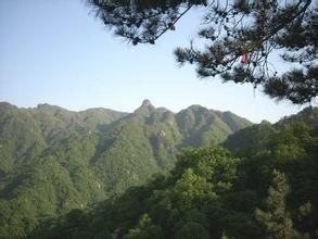 伏牛山脈 伏牛山脈