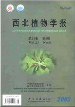 藥王茶[茶飲品]