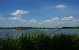 中牟雁鳴湖 中牟雁鳴湖