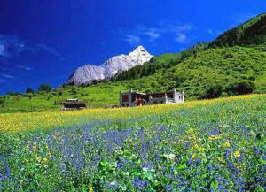 汗馬國家級自然保護區