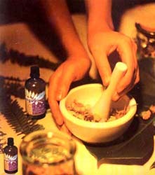 春天身心綜合症之六 激情不再