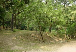 （圖）城門郊野公園