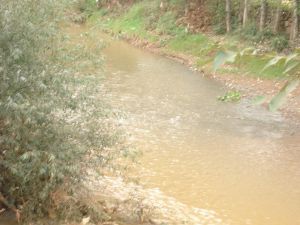 後河村[雲南富源縣後所鎮下轄村]