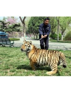 徐州動物園 徐州動物園