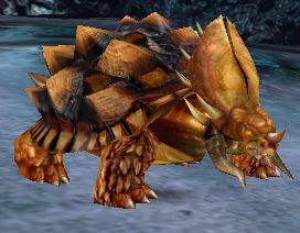 海洋甲殼動物 海洋甲殼動物