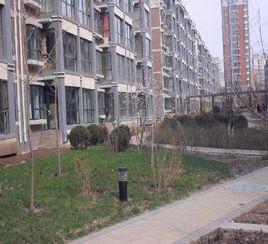 君臨天下三期 君臨天下三期