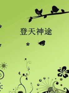登天神途 登天神途