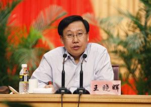 王曉暉[中宣部副部長、中央政策研究室副主任]