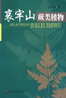 哀牢山蕨類植物 哀牢山蕨類植物
