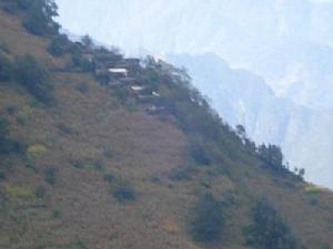 王坪自然村 王坪自然村