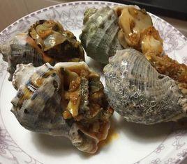 醬汁海螺 醬汁海螺