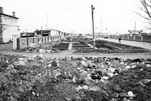 妯娌文化遺址 妯娌文化遺址