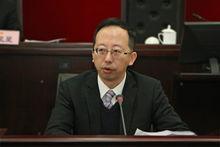 秦健[上海市信息投資股份有限公司黨委書記]