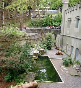 （圖）《熊的故事》