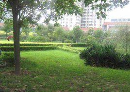 望京西園四區 望京西園四區