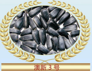 澳新3號 澳新3號