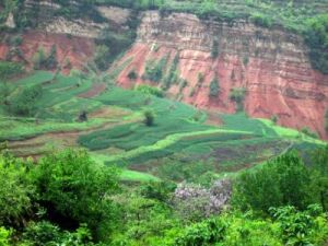 紅土坡上寨 紅土坡上寨