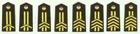 解放軍海軍軍士長肩章(1993～1999)