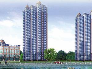 金灣國際 金灣國際