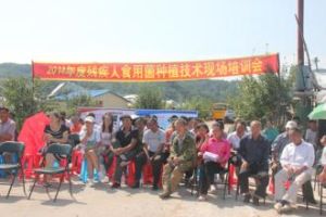 大泉源滿族自治鄉