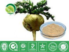 瑪卡提取物 瑪卡提取物