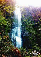 豐順縣豐良鎮九龍嶂風景區