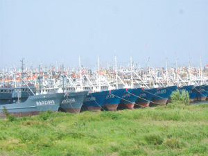 艘漁船進港伏季休漁