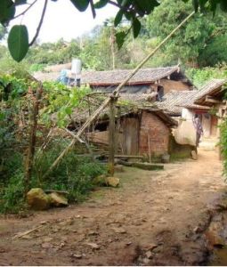 小柳樹自然村 小柳樹自然村