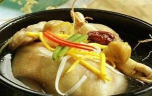 首烏煨雞 首烏煨雞