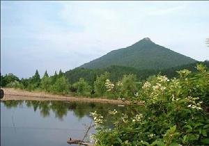 松陽卯山國家森林公園