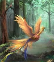 《鳳凰磐涅》 《鳳凰磐涅》