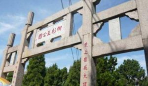 柳杉王公園 柳杉王公園