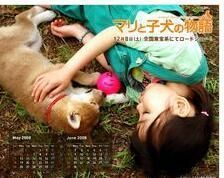 瑪莉和它的孩子們 瑪莉和它的孩子們