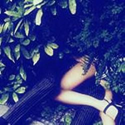 學校的小樹林吧 學校的小樹林吧