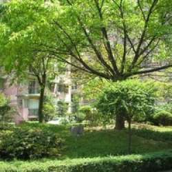 冠城花園三期 冠城花園三期